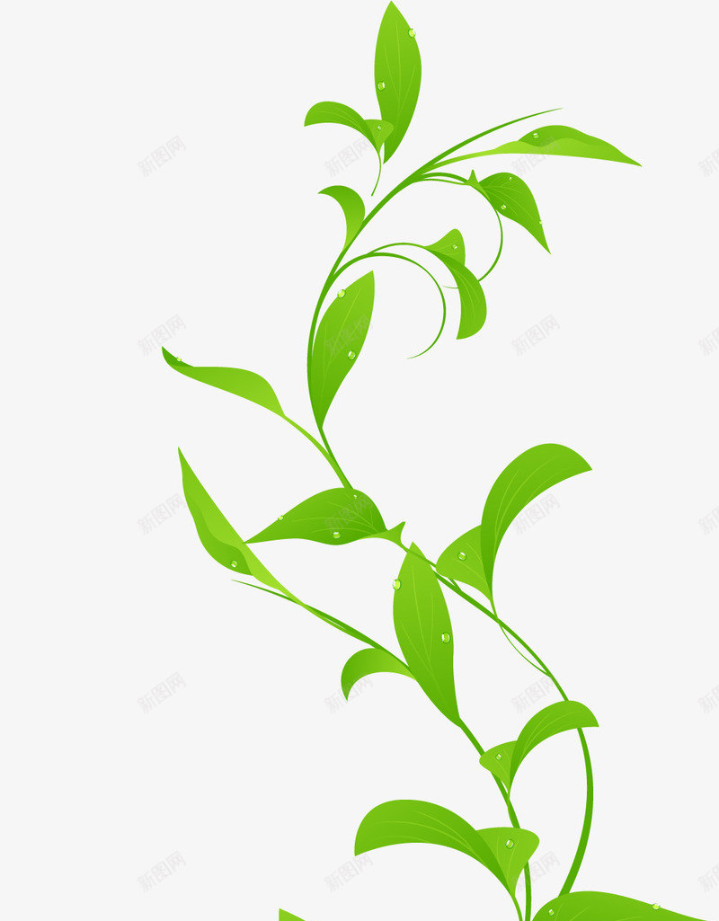 绿色清爽树叶花藤png免抠素材_新图网 https://ixintu.com 树叶 清爽 绿色 设计
