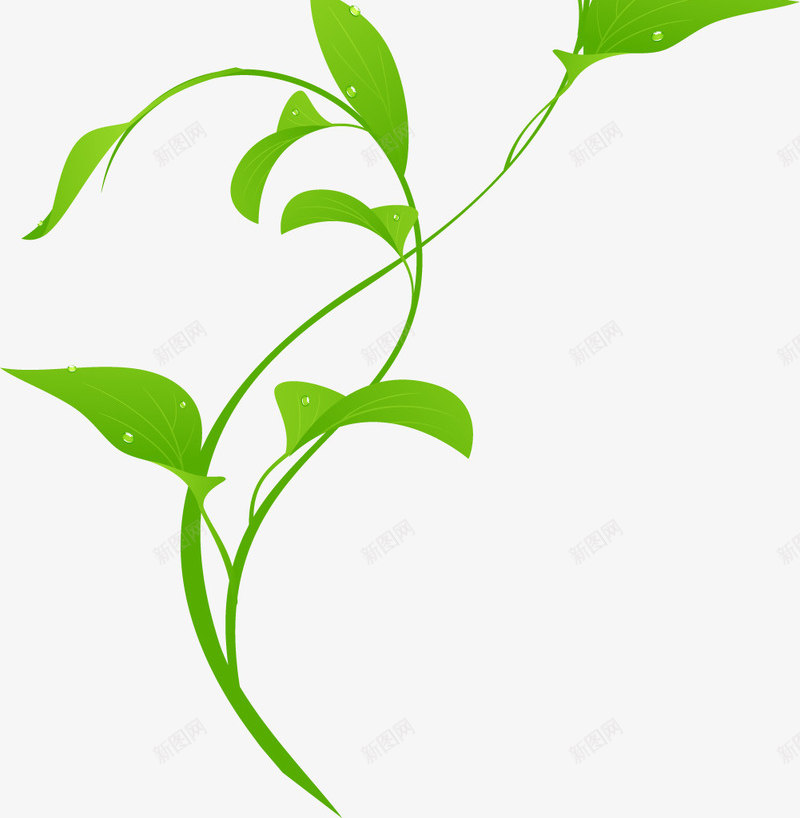 绿色清爽树叶花藤png免抠素材_新图网 https://ixintu.com 树叶 清爽 绿色 设计