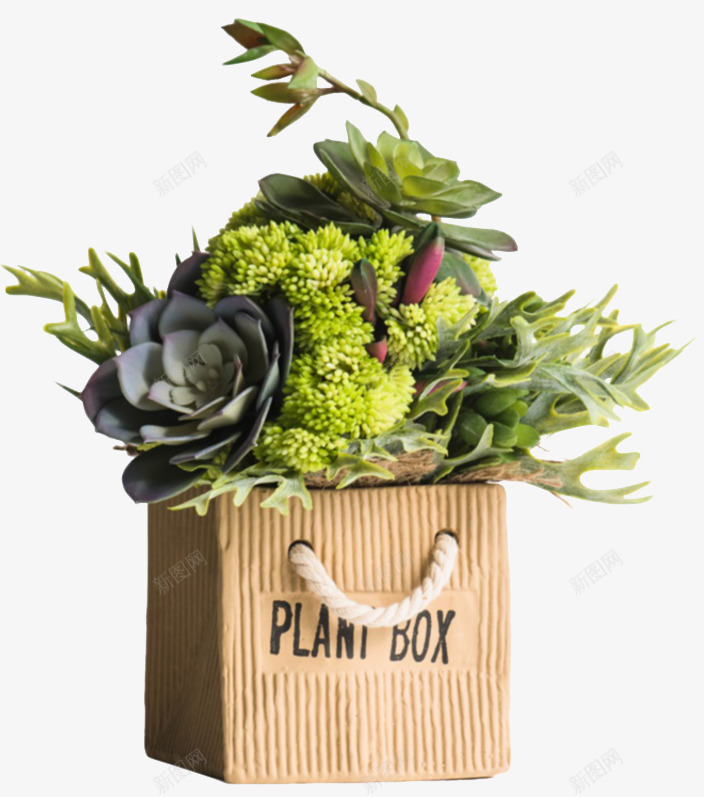购物袋花瓶的植物摆件png免抠素材_新图网 https://ixintu.com 产品实物 多肉 文艺 木质 植物摆饰 简约 绿色小植物 自然 购物袋花瓶