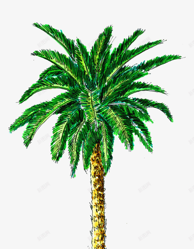 手绘椰树沙滩插画png免抠素材_新图网 https://ixintu.com 插画 椰树 沙滩