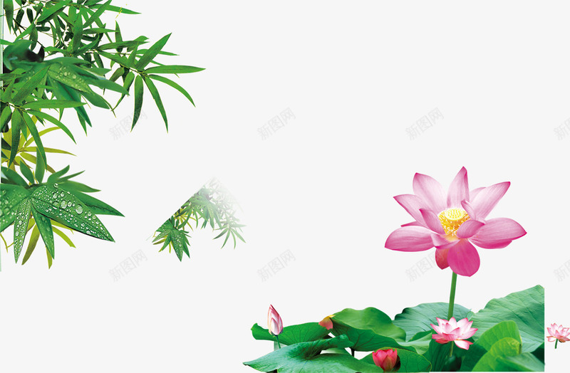 清新绿色竹叶荷花荷叶池塘png免抠素材_新图网 https://ixintu.com 池塘 清新 竹叶 竹子荷花荷叶满池塘 绿色 荷叶 荷花