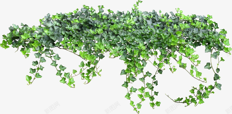 童话里爬山虎png免抠素材_新图网 https://ixintu.com 万圣节 复古 梦游仙境 童话素材 魔境梦游 魔鬼之城