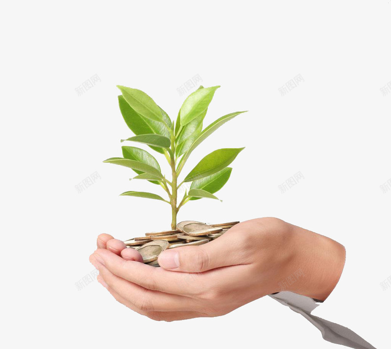 双手中的一堆金币绿png免抠素材_新图网 https://ixintu.com 双手中的一堆金币绿 硬币 金币 钱 银元 银币 高清免扣