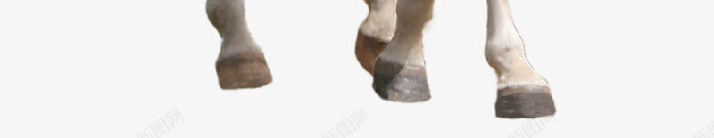 马素描马图标白色白马png_新图网 https://ixintu.com 手绘素材 毛笔马 白色 白马 马 马剪影 马图标