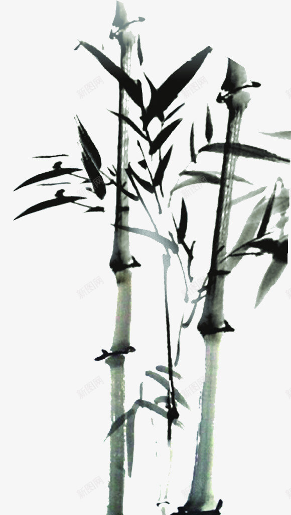 竹子艺术画片png免抠素材_新图网 https://ixintu.com 图片 竹子 素材 艺术