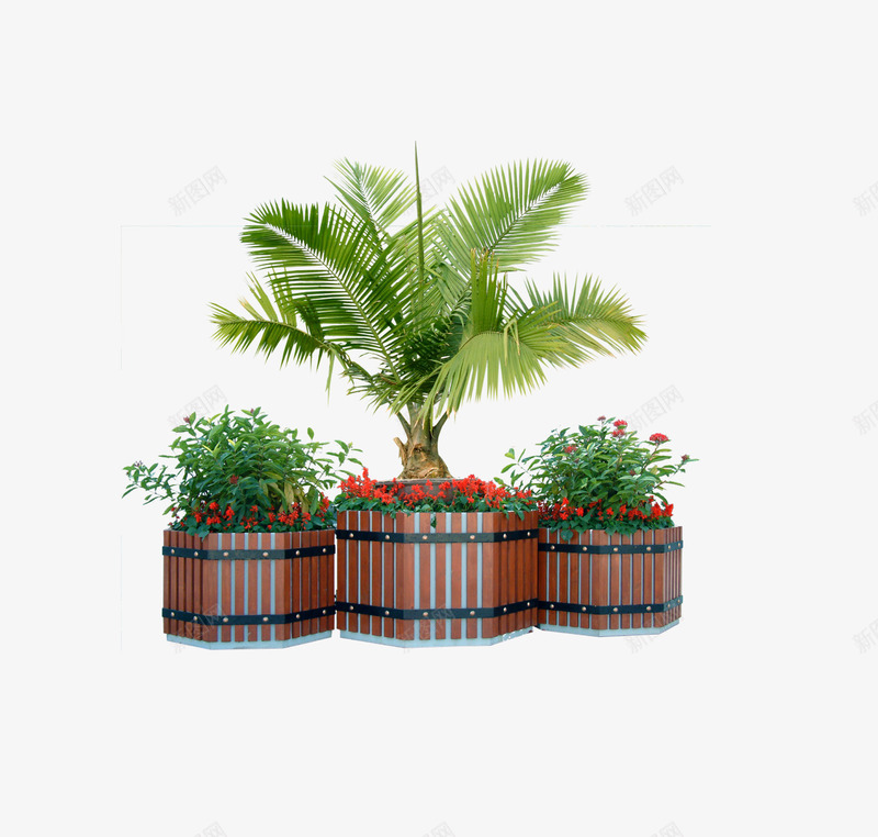 木制花坛中的花与植物png免抠素材_新图网 https://ixintu.com 园林景观 景物实物 景观植物 木制花坛 树木 植物 植物png图片 植物免费下载 灌木 灌木丛 灌木植物 绿色植物 花 花坛