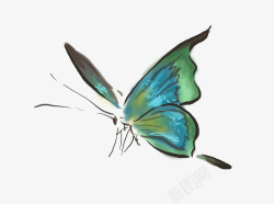 绿色动物绿色的小蝴蝶高清图片