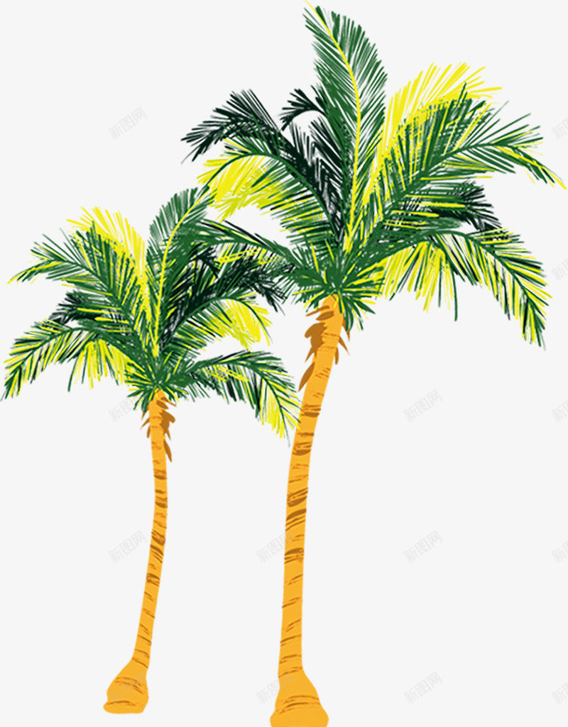 植物绿色沙滩椰子树png免抠素材_新图网 https://ixintu.com 植物 椰子树 沙滩 绿色