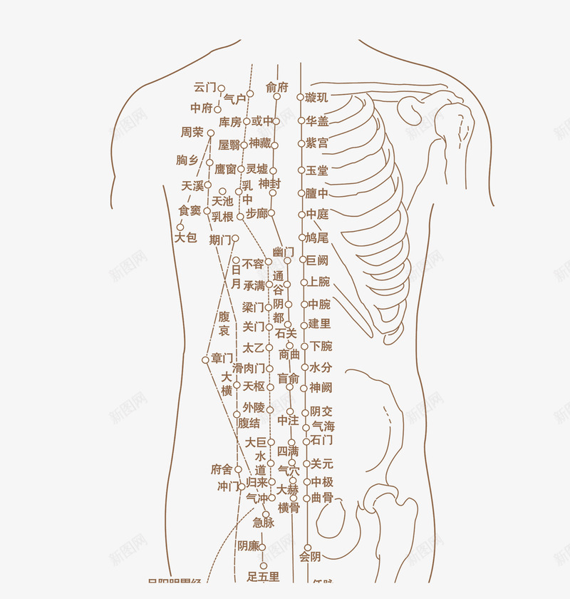 人体穴位图png免抠素材_新图网 https://ixintu.com 人体 医学 按摩 穴位图