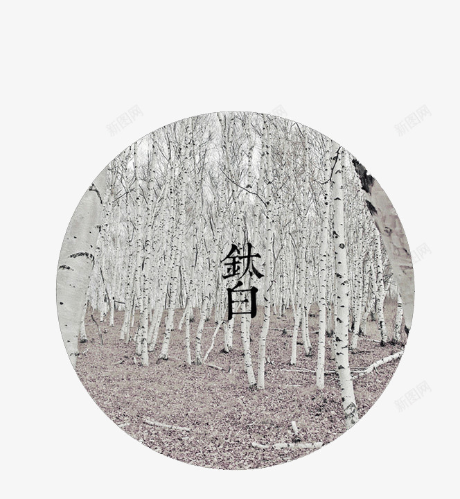 传统绘色谱钛白png免抠素材_新图网 https://ixintu.com 12绘色谱 中国 传统 古典 唯美 绘色谱 钛白
