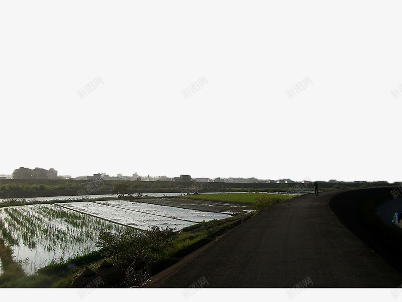 河堤边农田png免抠素材_新图网 https://ixintu.com 农田 城市 树木 楼房 河堤 绿色 自然风景 菜地 路面