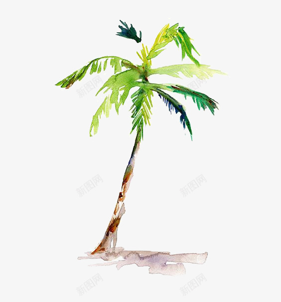 椰树png免抠素材_新图网 https://ixintu.com 卡通 手绘 插画 文艺 树叶 植物 水彩 沙滩 清新