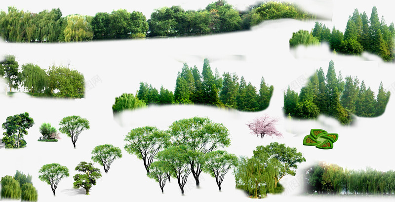 植物png免抠素材_新图网 https://ixintu.com 丛林 园林景观 树木 植物 矮树丛