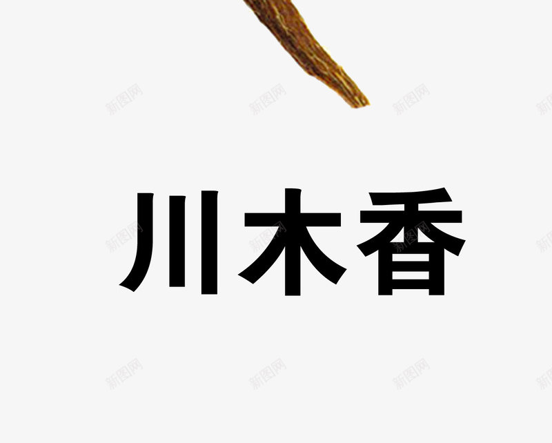 川木香png免抠素材_新图网 https://ixintu.com 中药 医疗保健 本草纲木 百草 草药 药材
