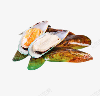 新西兰半壳青口贝png免抠素材_新图网 https://ixintu.com png图片素材 产品实物 免费png元素 免费png素材 冷冻 新西兰半壳青口贝 海鲜 生鲜食品 绿色食品