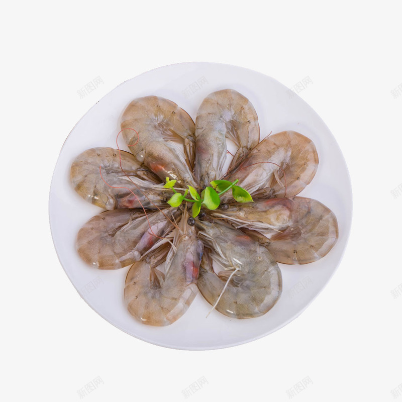 产品实物冰冻实物冰虾png免抠素材_新图网 https://ixintu.com 产品实物 冰冻 冰虾 冰鲜 新鲜食物 明虾 海产 海鲜 生鲜 虾 食物 食物原料 餐饮美食