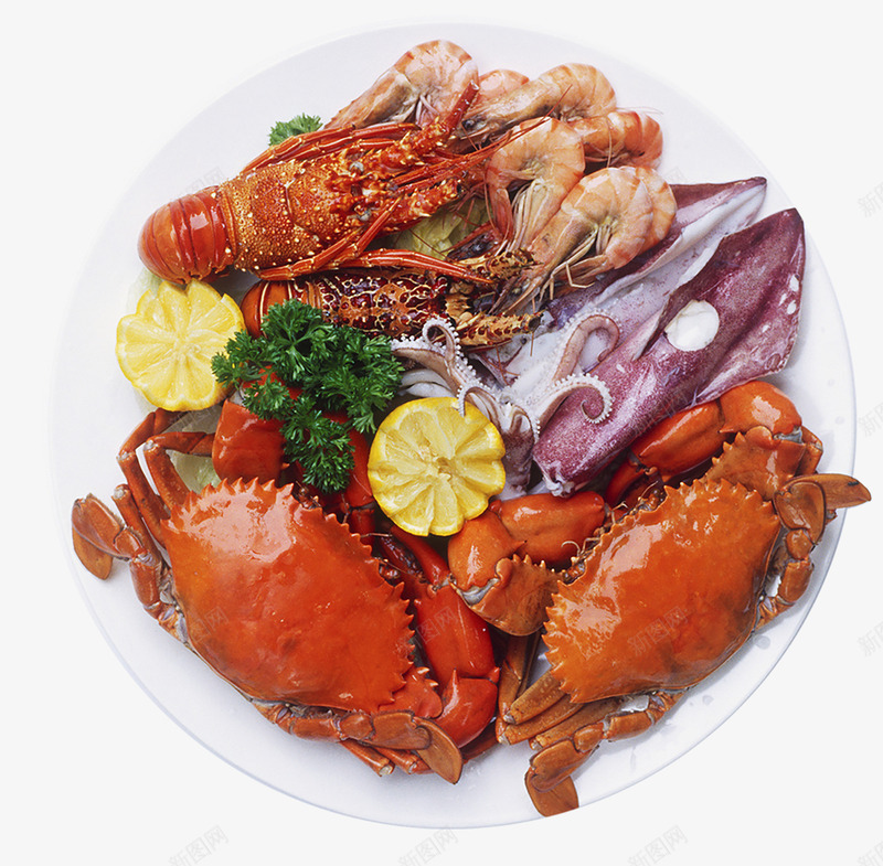 海鲜龙虾鱿鱼简图png免抠素材_新图网 https://ixintu.com 实物图 海生动物 海鲜 海鲜大咖 美味的 螃蟹 鱿鱼 龙虾