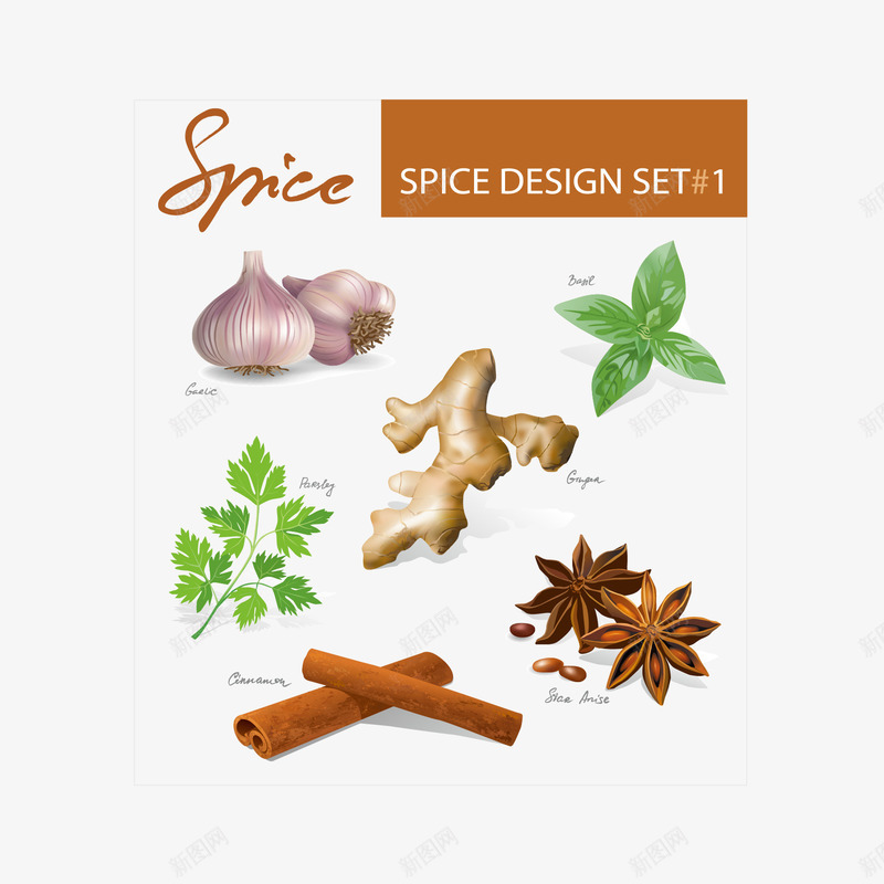 香料png免抠素材_新图网 https://ixintu.com 洋葱姜大料桂皮香菜欧芹西芹罗勒香料八角矢量图 转换