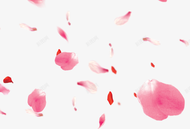 梦幻古风漂浮花瓣装饰png免抠素材_新图网 https://ixintu.com 古风 梦幻 漂浮 花瓣 装饰