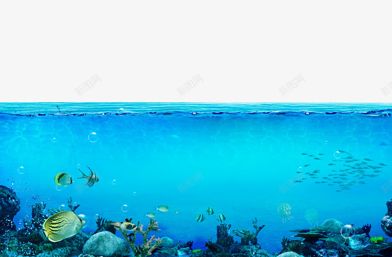 海底世界png免抠素材_新图网 https://ixintu.com psd分层 泡泡 海底世界 海底沙滩 海洋 深海 珊瑚 石头 蓝色 高清 鱼 鱼群
