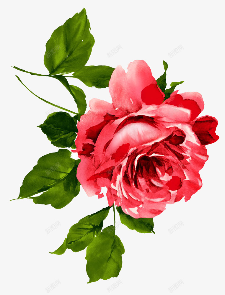 芍药png免抠素材_新图网 https://ixintu.com 水墨 红花 绿叶