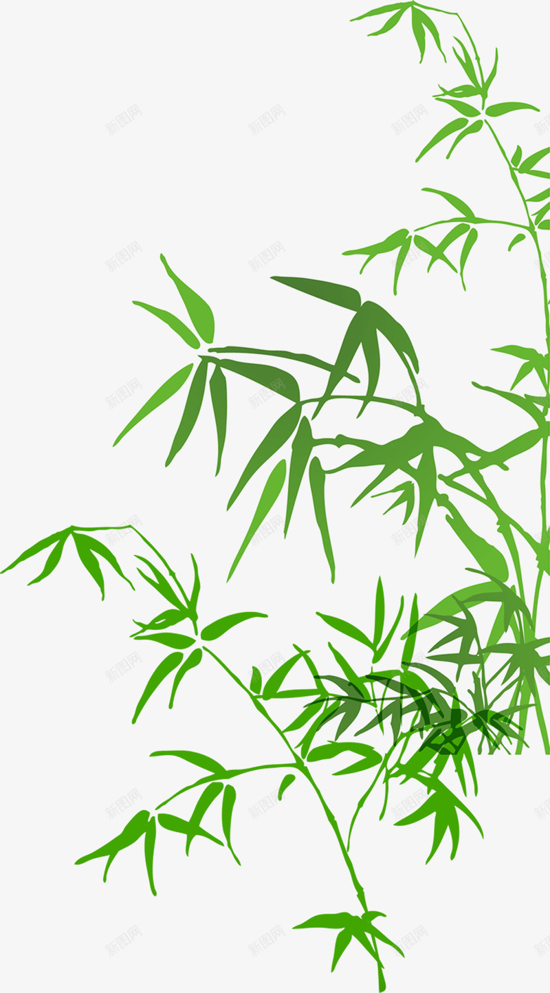 毛竹叶子彩绘竹子png免抠素材_新图网 https://ixintu.com 叶子 彩绘 毛竹 竹子 端午 粽叶素材