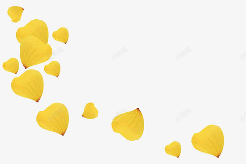 黄色花瓣png免抠素材_新图网 https://ixintu.com 散落 漂浮 玫瑰 玫瑰花瓣 花 花瓣 黄色