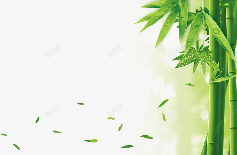 环保竹子叶落png免抠素材_新图网 https://ixintu.com 两根竹子 叶子 环保 环保海报 竹子 绿色