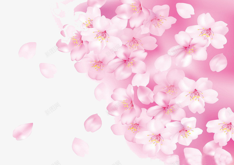 浪漫粉色樱花png免抠素材_新图网 https://ixintu.com 浪漫樱花 浪漫粉色 粉色樱花 花瓣飘落