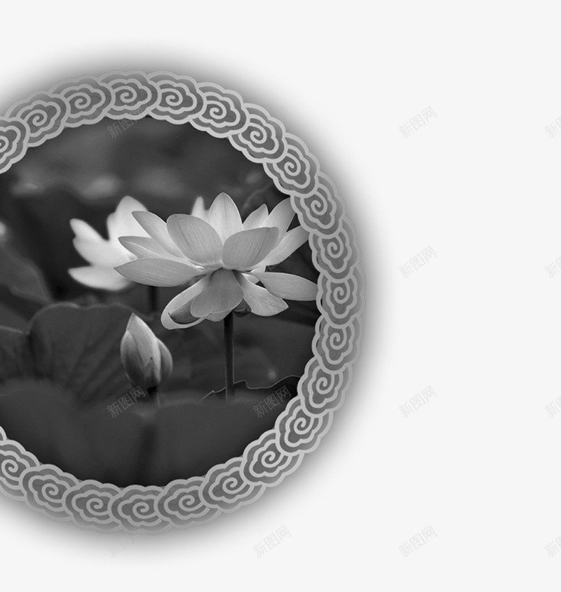 水墨画专辑png免抠素材_新图网 https://ixintu.com 中国风 水墨画专辑 荷花专辑 黑白画