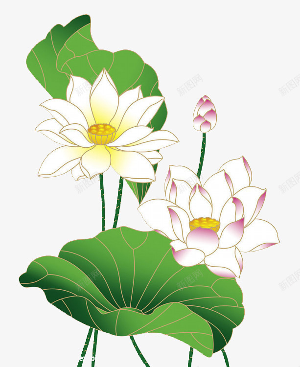 手绘荷花莲子花苞荷叶png免抠素材_新图网 https://ixintu.com 手绘荷花 竹子荷花荷叶满池塘 花苞 荷叶png素材 莲子