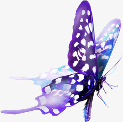 紫色飘带蝴蝶结自然动物紫色唯美蝴蝶高清图片