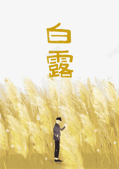 24节气白露png免抠素材_新图网 https://ixintu.com 24节气 二十四 白露 节气 麦田