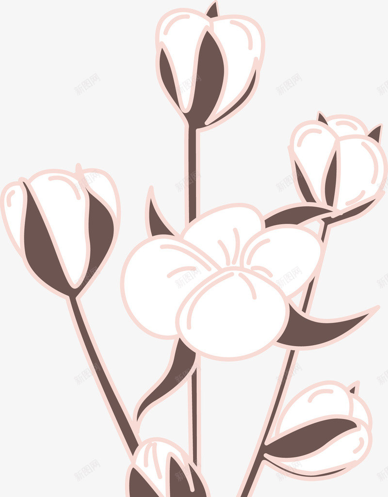 一株盛开的棉花图png免抠素材_新图网 https://ixintu.com 农作物 彩棉棉花 彩色棉花 服装 材料 棉花 棉花图 植物 矢量棉花 纺织 花 花朵