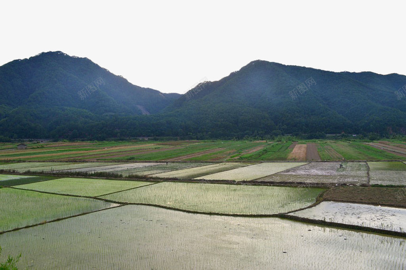 山脚下的农田png免抠素材_新图网 https://ixintu.com 农田 春种 春耕 春耕节 水田 远山