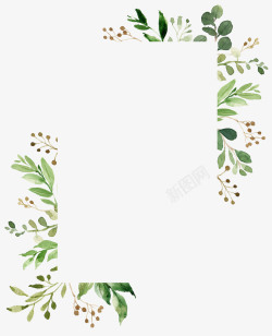 花卉枫叶边框水彩绿色植物边框高清图片
