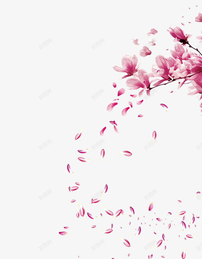 古风飘零花瓣png免抠素材_新图网 https://ixintu.com 中国风 古风 国画 意境 树枝 桃花 花瓣 装饰 飘零
