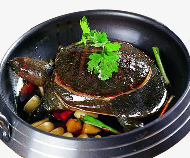 新鲜甲鱼美味佳肴png免抠素材_新图网 https://ixintu.com 佳肴 新鲜甲鱼 美味 美味佳肴 肥美 野生甲鱼 香飘万里 鲜嫩 鲜美 黑色大锅