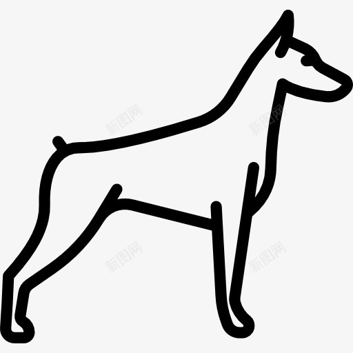 多伯曼犬图标png_新图网 https://ixintu.com 动物 品种 宠物 狗