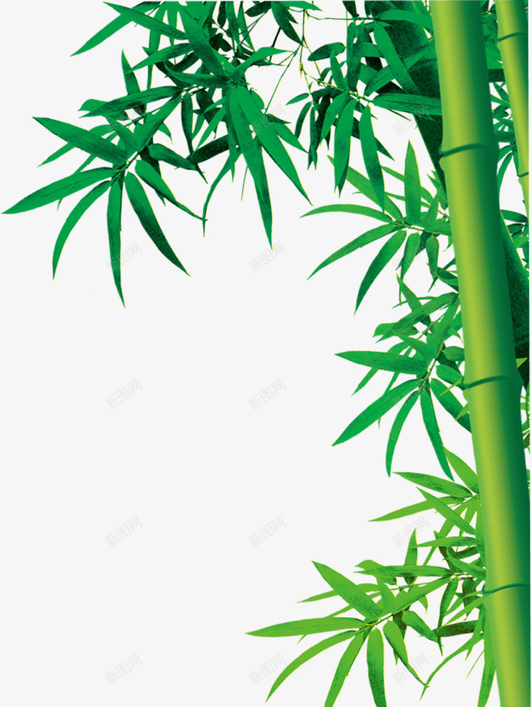 绿色卡通竹叶竹林png免抠素材_新图网 https://ixintu.com 卡通 竹叶 竹林 绿色