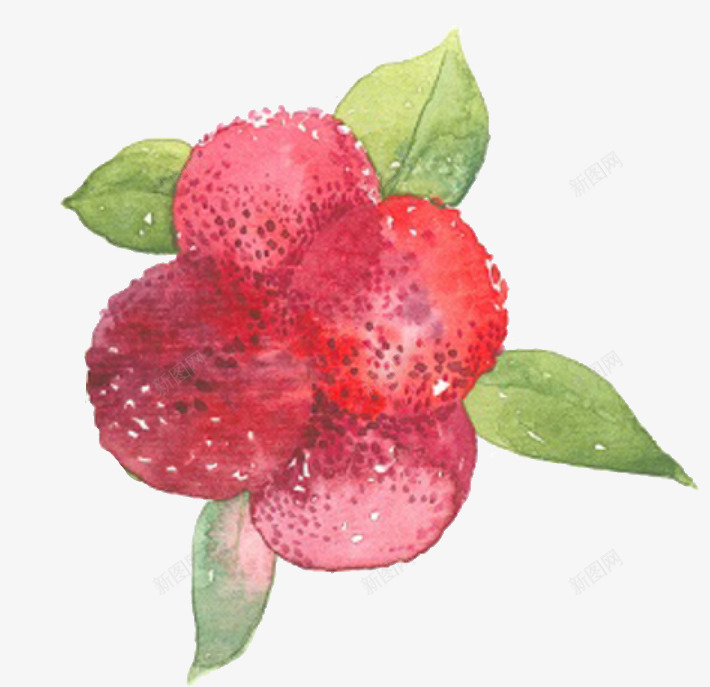 水彩杨梅png免抠素材_新图网 https://ixintu.com 手绘 杨梅 水彩 水果