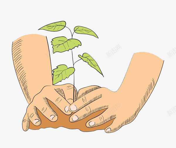 正在种植树苗的大手png免抠素材_新图网 https://ixintu.com 农民 劳作 干活 手 手掌树 树 栽种 植树 植树日 植树活动 植树节 植物 环保 种树 种植