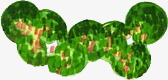 绿色创意植物平面图素材