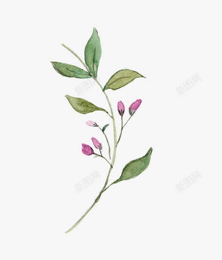圣诞节手绘花纹png免抠素材_新图网 https://ixintu.com 圣诞 圣诞树 圣诞老人 圣诞节 圣诞节素材 手绘 树叶 树枝 植物 水彩 水彩插画