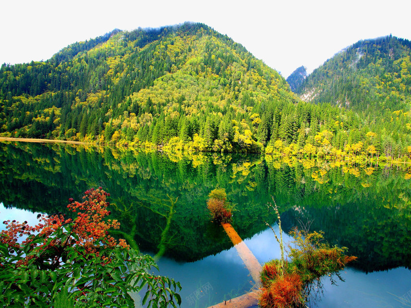 九寨沟风景摄影png免抠素材_新图网 https://ixintu.com 九寨沟 名胜古迹 名胜景区 地方景点 实物图 山水景色 摄影图 自然景观 风景 高清图片