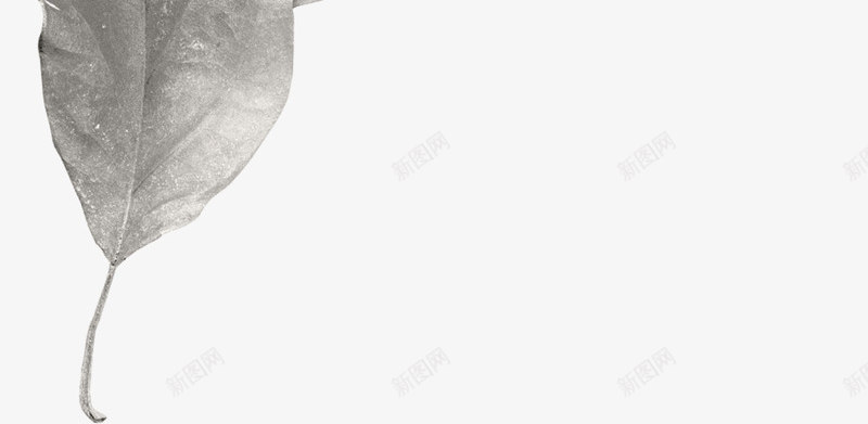 枯树叶png免抠素材_新图网 https://ixintu.com PNG 枯树叶 海报 装饰品