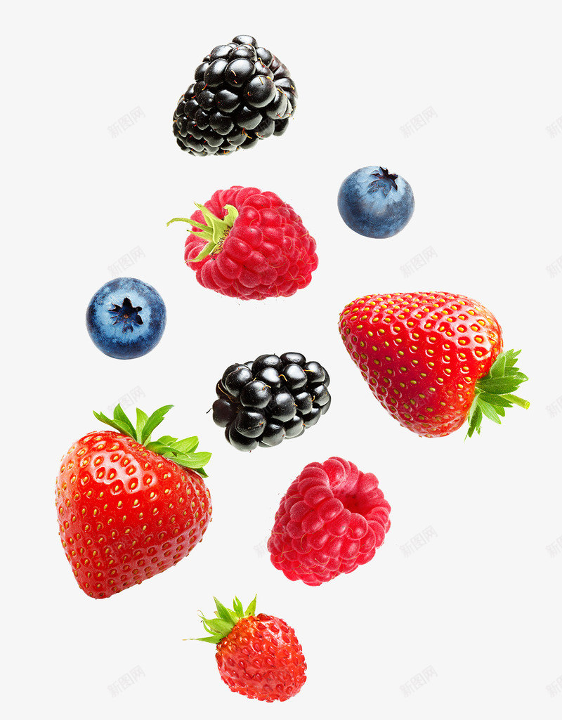 水果装饰草莓蓝莓树莓桑葚png免抠素材_新图网 https://ixintu.com 健康 手绘食物图片 新鲜水果 树莓 桑葚 水果 水果图案 水果图片 草莓 营养 蓝莓 补心 食物图片素材