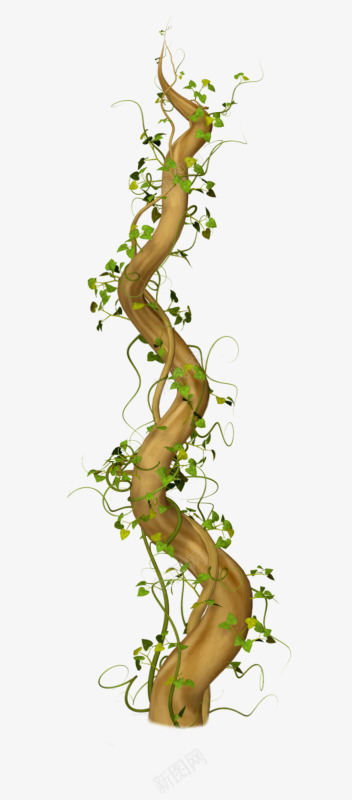 植物树枝干藤蔓png免抠素材_新图网 https://ixintu.com 树枝 植物 藤蔓