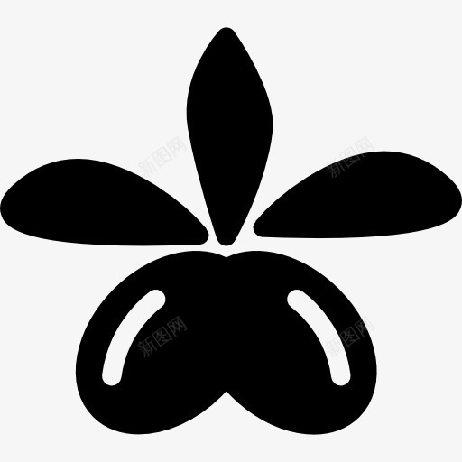 一些水果叶图标png_新图网 https://ixintu.com 健康 博物馆 叶 果 水果 轮廓 食品