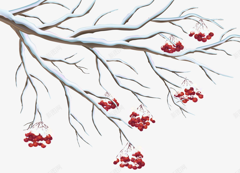 积雪梅花png免抠素材_新图网 https://ixintu.com 冬天 暗香 枝头 梅花 植物 积雪